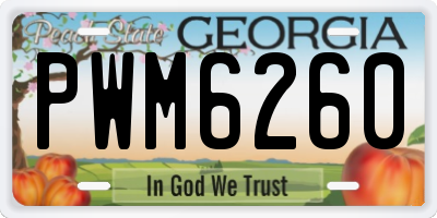 GA license plate PWM6260