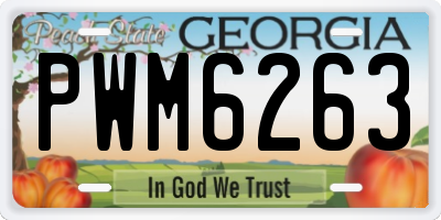GA license plate PWM6263