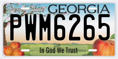 GA license plate PWM6265