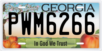 GA license plate PWM6266