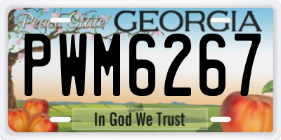 GA license plate PWM6267