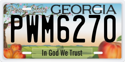 GA license plate PWM6270