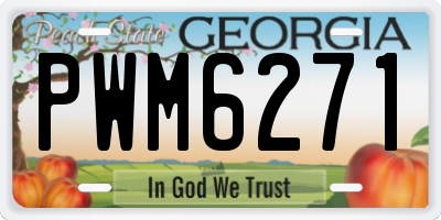 GA license plate PWM6271