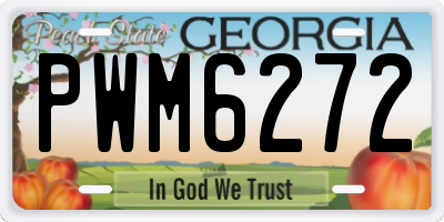 GA license plate PWM6272