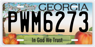 GA license plate PWM6273