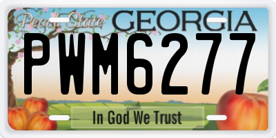 GA license plate PWM6277