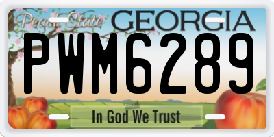 GA license plate PWM6289