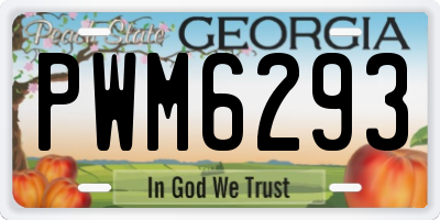 GA license plate PWM6293