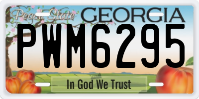 GA license plate PWM6295