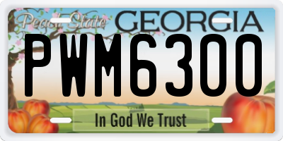 GA license plate PWM6300