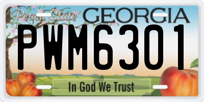 GA license plate PWM6301