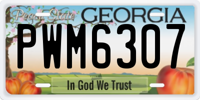 GA license plate PWM6307