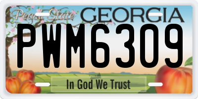 GA license plate PWM6309