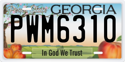 GA license plate PWM6310