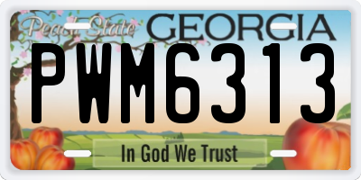GA license plate PWM6313