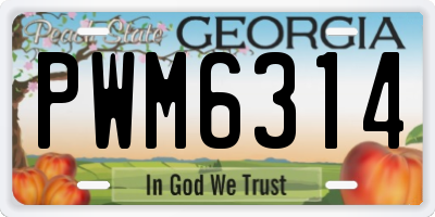 GA license plate PWM6314