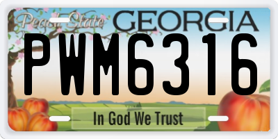 GA license plate PWM6316