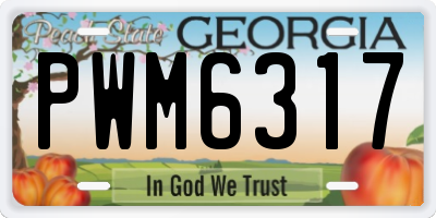 GA license plate PWM6317