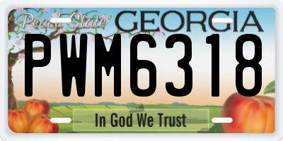 GA license plate PWM6318