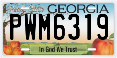 GA license plate PWM6319