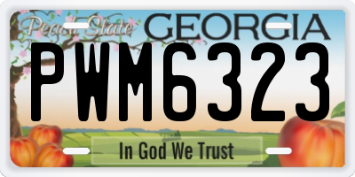 GA license plate PWM6323