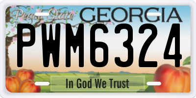 GA license plate PWM6324