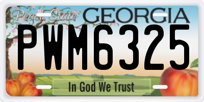 GA license plate PWM6325