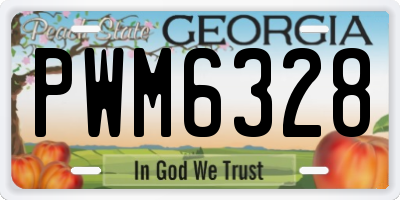 GA license plate PWM6328