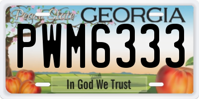 GA license plate PWM6333