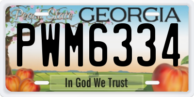 GA license plate PWM6334