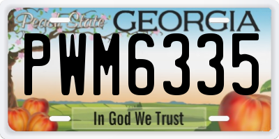 GA license plate PWM6335