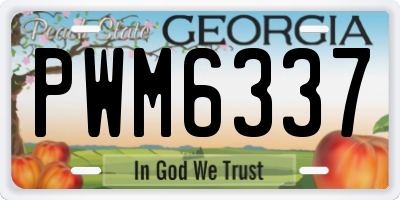 GA license plate PWM6337