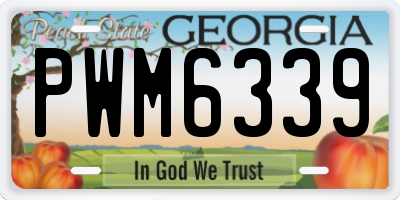 GA license plate PWM6339