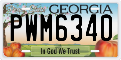 GA license plate PWM6340