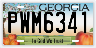 GA license plate PWM6341