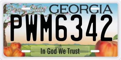 GA license plate PWM6342