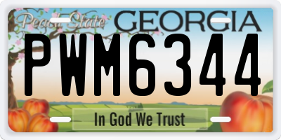 GA license plate PWM6344