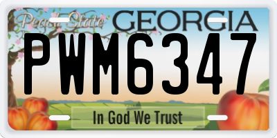 GA license plate PWM6347