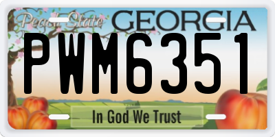 GA license plate PWM6351