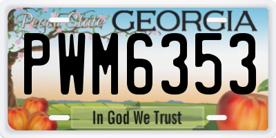 GA license plate PWM6353