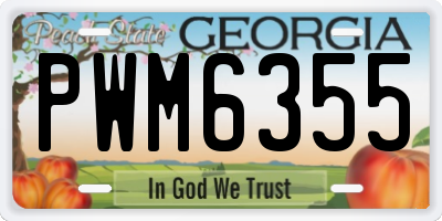 GA license plate PWM6355