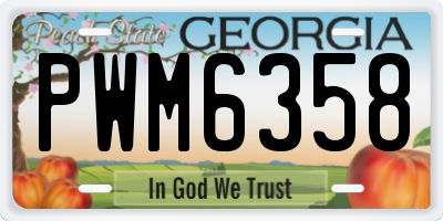 GA license plate PWM6358
