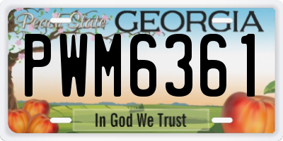 GA license plate PWM6361
