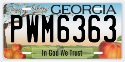 GA license plate PWM6363