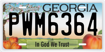 GA license plate PWM6364