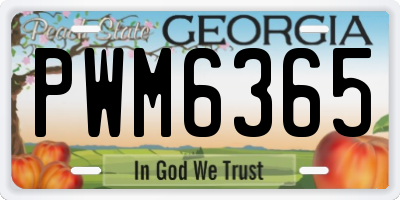 GA license plate PWM6365