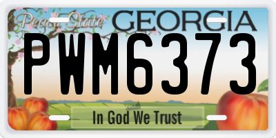 GA license plate PWM6373