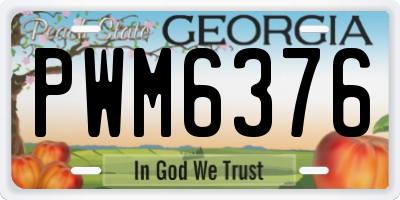 GA license plate PWM6376