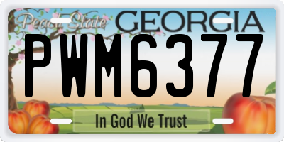 GA license plate PWM6377