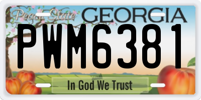 GA license plate PWM6381